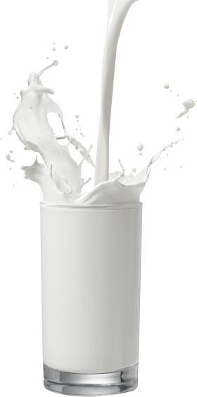 Milk